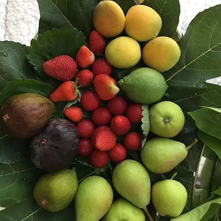 Olympus Park Amnesia 4*